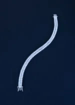 Double Line Tennis Bracelet (Silver) BRA001125