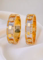 Regalia Link Bangles (Dual Plating) BAN001923