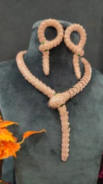 Silver Serepent Necklace Set (White-Gold)- NEC08122201 - Image 5