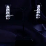 The Lunar Sparkle Earrings (Silver) EAR002255