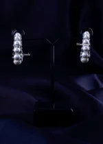 The Lunar Sparkle Earrings (Silver) EAR002255