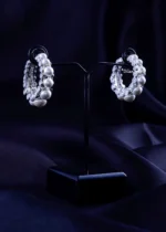 The Lunar Sparkle Earrings (Silver) EAR002255 - Image 2
