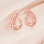 Trendy Party Earrings (Rose Gold) EAR000679